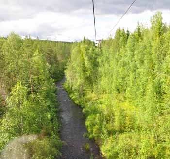 Utsikt över skog från Linbanan